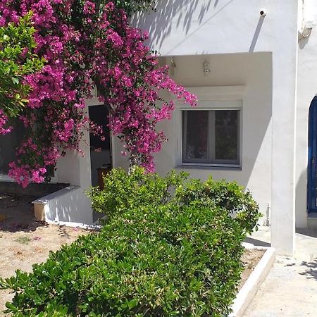 Апартаменты White And Blue,Finikas Syros Vissa Экстерьер фото